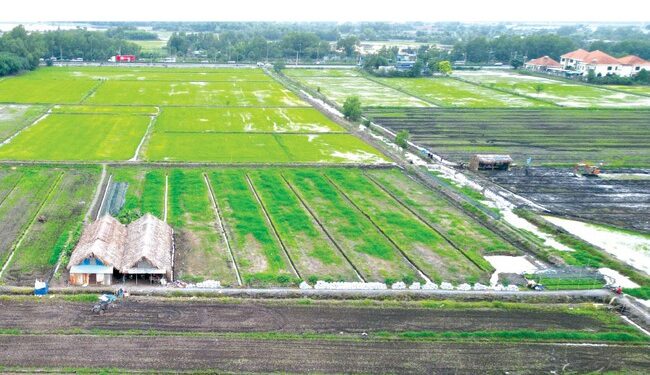 2 trường hợp không có tên trong di chúc vẫn hưởng thừa kế nhà đất