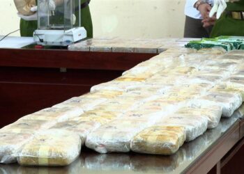 Hồ sơ đề nghị cấp giấy phép vận chuyển chất ma túy bao gồm những gì? Thời hạn của Giấy phép vận chuyển chất ma túy là bao lâu?