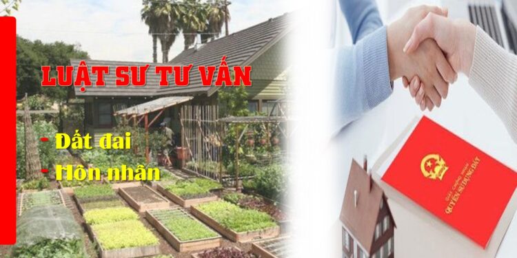 Việt Nam bỏ đơn vị hành chính quận / huyện thì làm thủ tục đất đai ở đâu năm 2025?