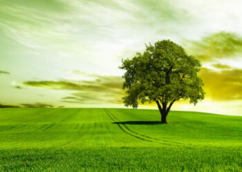 Luật sư hỗ trợ mua bán nhà đất